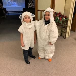 Meet your Posher, Dawn